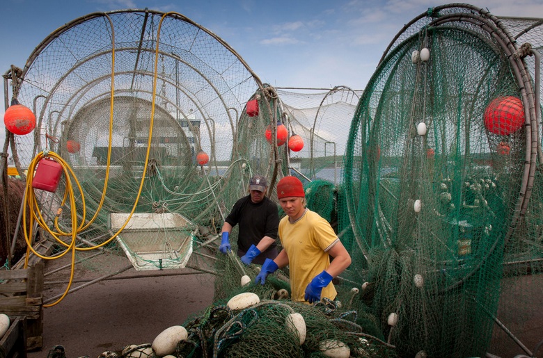 Labās prakses piemēri Piekrastes un Zivsaimniecības attīstībai no visas Eiropas.